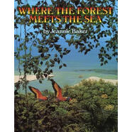 Where the Forest Meets the Sea森林與海的相遇