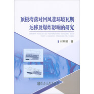 頂板垮落對回風(fēng)巷環(huán)境瓦斯運移及爆炸影響的研究
