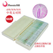 鳳凰（Phenix）顯微鏡標本切片載玻片蓋玻片套裝動物植物細胞昆蟲標本兒童實驗 50片裝
