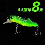 萬(wàn)能路亞餌蝗蟲蟈蟈蟋蟀昆蟲主攻淡水湖泊江河素食魚家魚青魚草魚鯉魚鰱魚胖頭鳙魚蚱蜢 大號(hào)8克-青頭色
