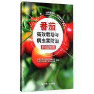 扫码看视频·轻松学技术丛书：番茄高效栽培与病虫害防治彩色图谱
