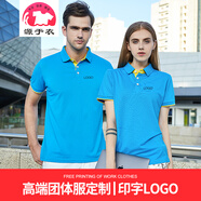 源于衣 定制polo工作服t恤訂制工衣企業(yè)廣告文化衫訂做短袖翻領(lǐng)印字logo 湖藍 S