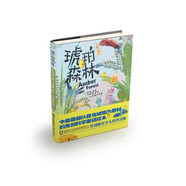 琥珀森林