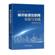 城市能源互聯(lián)網(wǎng)發(fā)展與實(shí)踐