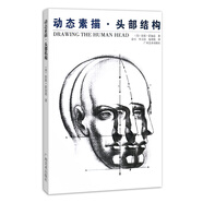 動(dòng)態(tài)素描：頭部結(jié)構(gòu)