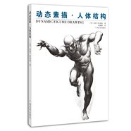 動(dòng)態(tài)素描·人體結(jié)構(gòu)