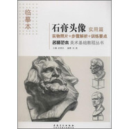 名師范本·石膏頭像 ·實用篇(美術(shù)基礎(chǔ)教程叢書)