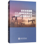 超低滲透油藏CO2驅儲層流體沉淀規(guī)律與數(shù)值模擬技術