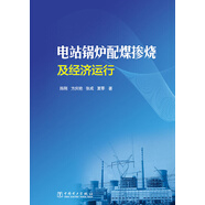 電站鍋爐配煤摻燒及經(jīng)濟運行