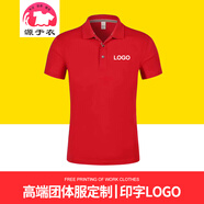 源于衣 POLO定制t恤 文化衫同學(xué)聚會(huì )服裝訂做衣服印字logo工作服工衣T恤訂制 紅色 XL