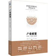 產(chǎn)業(yè)政策 總結(jié)、反思與展望