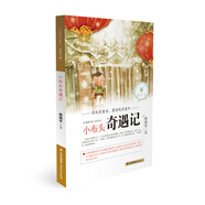 小布頭奇遇記 中國當代兒童文學(xué)童話(huà)故事書(shū) 小學(xué)生課外閱讀故事書(shū)