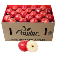 GREENHOW新西蘭蘋(píng)果皇家嘎啦小蘋(píng)果新鮮水果進(jìn)口加力果脆甜姬娜果 8顆裝（單果140g+）