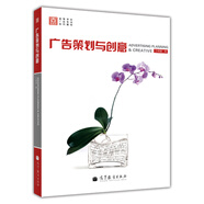 高等學校廣告專業(yè)系列教材：廣告策劃與創(chuàng)意