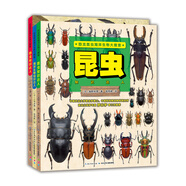 恐龍昆蟲海洋生物大搜查(全3冊)