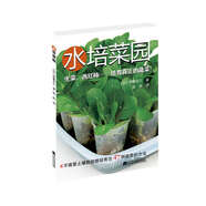 水培菜園