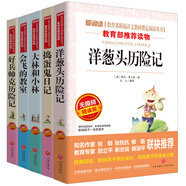 無障礙精讀版/大林和小林+搗蛋鬼日記+洋蔥頭歷險記+好兵帥克歷險記+會飛的教室（套裝共5冊）