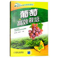 葡萄高效栽培（雙色印刷）/高效種植致富直通車