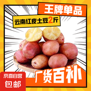 【真便宜】云南紅皮土豆高原黃心土豆云南土豆新鮮紅皮黃心洋芋 9斤大果【單果150g+】