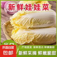 【超市品質(zhì)】新鮮精品娃娃菜現(xiàn)砍現(xiàn)發(fā)小包裝新鮮蔬菜生鮮產(chǎn)地直發(fā) 新鮮娃娃菜1*(3棵)*10包