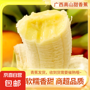 高山精品甜蕉現(xiàn)摘新鮮水果香蕉孕婦寶寶輔食搭配丫丫生鮮特產(chǎn) 1斤裝【青蕉發(fā)貨】