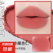 NOVO柔霧啞光口紅裸色系不沾杯唇膏滋潤(rùn)保濕不掉色唇釉女秋冬顯白 301#赤裸杏