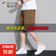 啄木鳥【寬松速干】夏天多巴胺短褲男生2025新款薄款冰絲五分褲 咖啡 L 推薦130-150斤