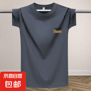 夏季冰絲短袖t恤男2025新款港風(fēng)打底潮流體恤圓領(lǐng)寬松百搭上衣-SL 灰色（鋸WAS） L 【90-110斤】