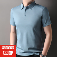 40支雙面絲光短袖T恤男士翻領(lǐng)5A純色防蚊涼感新款Polo衫上衣 中蘭 2XL 185/100A
