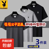花花公子夏季純棉短袖T恤男仕2025新款圓領體恤休閑百搭寬松上衣 深灰+淺灰+黑色【純棉】三件裝 2XL 建議【135-150斤】