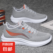 夏季透氣網(wǎng)面男鞋超輕時尚潮流休閑運動鞋百搭舒適防滑防臭耐磨鞋 ZLK 11502-灰色- 網(wǎng)面透氣運動鞋 42 (260mm) 標(biāo)準(zhǔn)運動碼