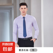 農(nóng)村商業(yè)銀行襯衣商務(wù)男女同款職業(yè)長短袖襯衫農(nóng)商信用社條紋工裝 男長袖-紫條（單件襯衫） L