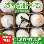 正宗海南椰青口感帶酸介意勿拍新鮮椰子當(dāng)季孕婦去皮椰整箱椰子水 2個(gè)裝（單果2斤起）