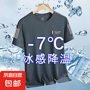 冰絲t恤男士短袖2025新夏季運動(dòng)速干透氣半袖男體恤寬松上衣服-SL 三色旗灰色 2XL  建議130-145斤