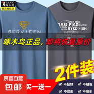啄木鳥(niǎo)5件純棉短袖t恤男青年大碼寬松印花體恤圓領(lǐng)打底衫衣服半袖 超人霧藍+項鏈灰 5XL 建議【180-200斤】