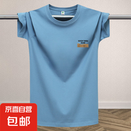 夏季冰絲短袖t恤男2025新款港風(fēng)打底潮流體恤圓領(lǐng)寬松百搭上衣-SL 藍(lán)色（鋸WAS） XL 【110-135斤】