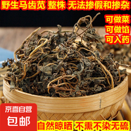 新鮮馬齒莧野菜干貨包子餡涼拌馬齒筧干長(zhǎng)壽菜降血壓蔬菜生鮮 【曬干】100g（傳統(tǒng)自然晾曬） 山野里的純野生馬齒莧 很稀缺了