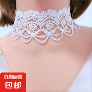 白色花邊蕾絲項(xiàng)鏈頸飾頸鏈choker女鎖骨鏈流蘇項(xiàng)圈女頸帶 寬版白色