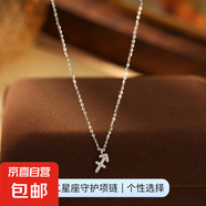 跨境新品S925銀十二星座項(xiàng)鏈女立體符文輕奢鑲鉆設(shè)計(jì)感鎖骨鏈頸鏈 【白金色-射手座】 無規(guī)格