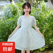 女童連衣裙夏裝2025新款洋氣兒童碎花公主裙大童夏季薄款雪紡裙子 藍(lán)色 160 cm