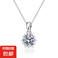 925純銀莫桑雪花項(xiàng)鏈不掉色女吊墜輕奢小眾感鎖骨鏈批發(fā) 六芒星雪花項(xiàng)鏈(白金色) 1克拉莫桑鉆