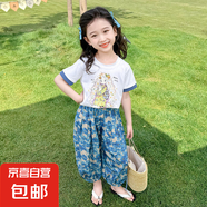 女童夏裝防蚊褲套裝2025新款兒童夏季衣服寶寶短袖網(wǎng)紅炸街15xk55 防蚊褲套裝-藍(lán)色 120 碼