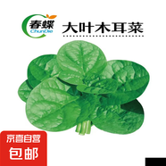 春蝶蔬菜種子播盆栽陽臺庭院四季奶油小白菜生菜玉米南瓜易種籽孑 大葉木耳菜【原裝1包 約50?！?一包(試種)