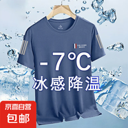 冰絲t恤男士短袖2025新夏季運(yùn)動(dòng)速干透氣半袖男體恤寬松上衣服-SL 三色旗藍(lán)色 4XL  建議160-180斤