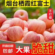 山東煙臺(tái)紅富士蘋(píng)果正宗棲霞蘋(píng)果冰糖心水果新鮮當(dāng)季蘋(píng)果 凈重4斤大果