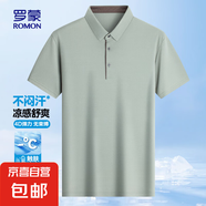 羅蒙（ROMON）短袖t恤男透氣薄款2025夏季新款商務(wù)休閑時(shí)尚休閑百 豆綠 4XL (190) 【建議175-190斤】