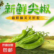 山東青椒尖椒薄皮辣椒虎皮辣椒現(xiàn)摘鮮青辣椒時令蔬菜農(nóng)場直發(fā) 2斤 2斤