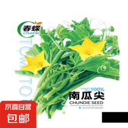 春蝶蔬菜種子四季播盆栽陽臺庭院黃瓜豆角番茄甜瓜易種籽孑大全 南瓜尖【1包約20?！?一包(試種貴在快遞費)