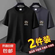 2025夏季新款冰絲短袖t恤簡約時尚寬松冰感男款短袖體恤上衣-SL 黑色+深灰色 5XL 【180-200斤】
