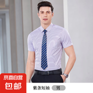 農(nóng)村商業(yè)銀行襯衣商務(wù)男女同款職業(yè)長短袖襯衫農(nóng)商信用社條紋工裝 男短袖-紫條（單件襯衫） 3XL
